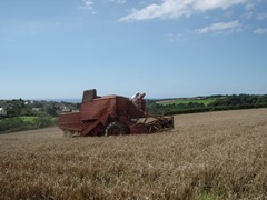 Harvest