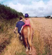 Pony Rides